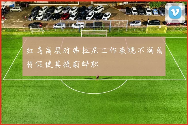 红鸟高层对弗拉尼工作表现不满或将促使其提前辞职