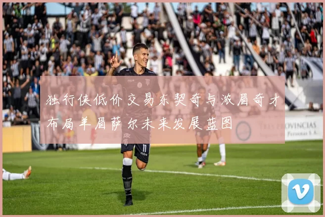 独行侠低价交易东契奇与浓眉奇才布局羊眉萨尔未来发展蓝图